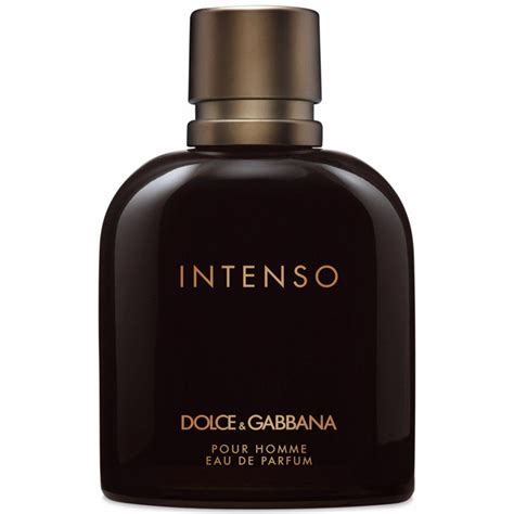 dolce gabbana intenso uomo|intenso dolce gabbana for men.